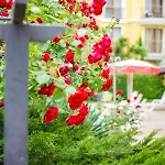 Deva 3* Σάνι Μπιτς