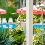 Deva Σάνι Μπιτς