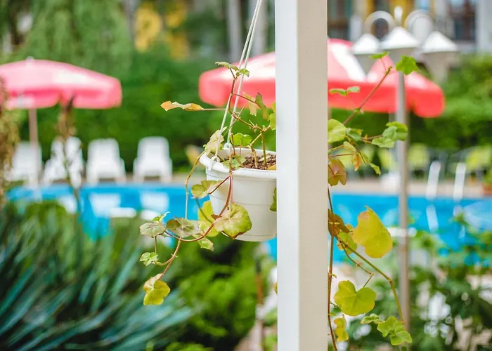 Deva סאני ביץ'