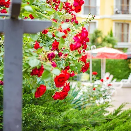 Deva 3* ساني بيتش