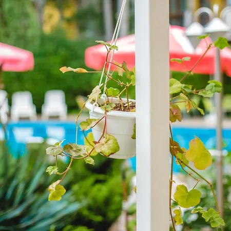 Deva ساني بيتش