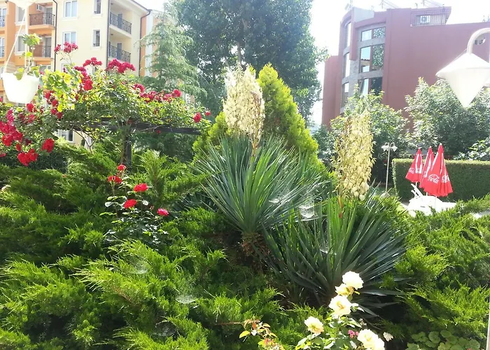 Deva Отель Солнечный берег